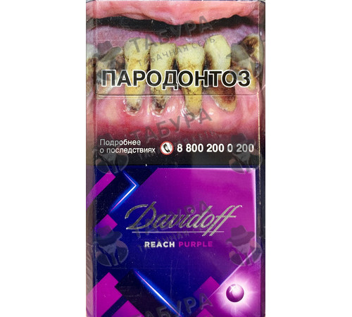 Сигареты Davidoff Reach Purple