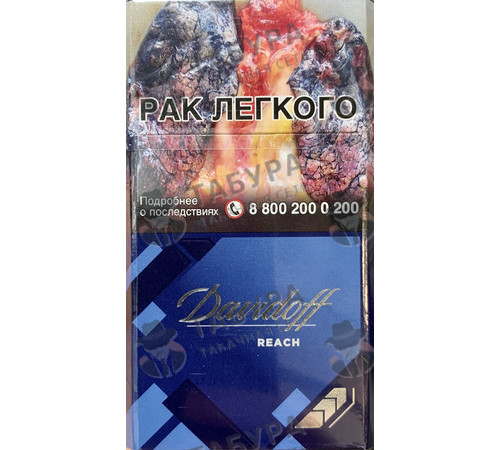 Сигареты Davidoff Reach Blue