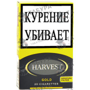 Harvest Gold