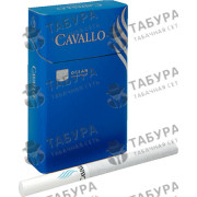 Cavallo Ocean