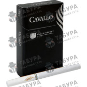 Cavallo Black Velvet