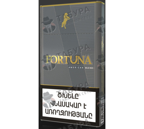 Сигареты Fortuna SS Gray